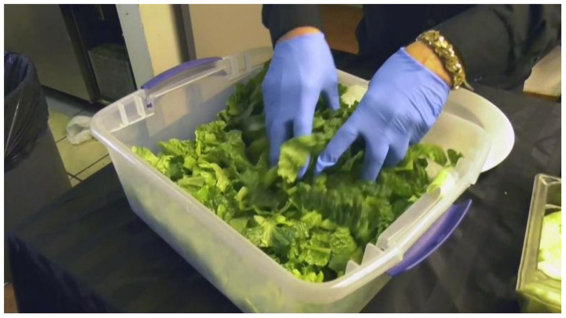 Why is there a lettuce shortage among major food chains? Details