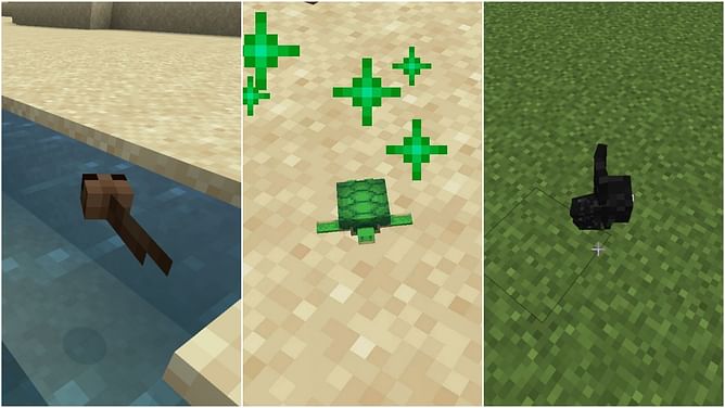 Top 5 smallest mobs in Minecraft 1.19