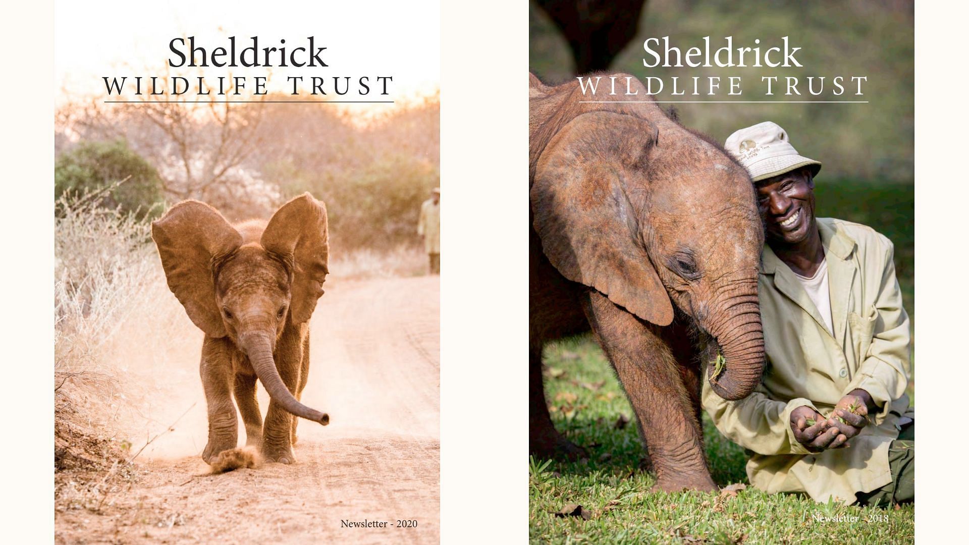 The Sheldrick Trust aims to rescue and rehabilitate wildlife (image via sheldrickwildlifetrust.org)