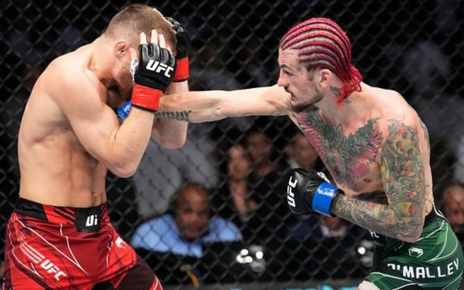 Sean O'Malley is the self-proclaimed "best boxer" in the UFC after Petr Yan clash