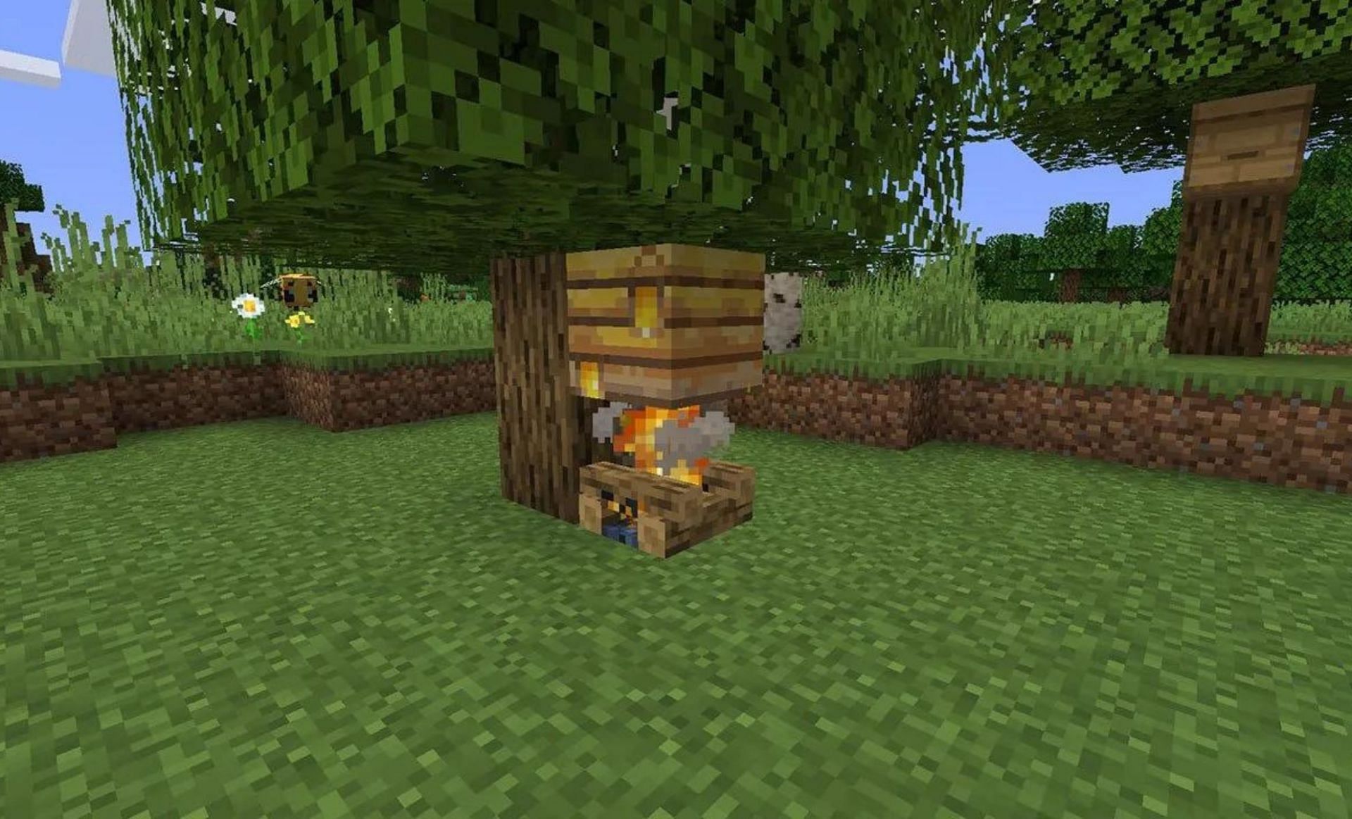 A campfire below a beehive (Image via Mojang)