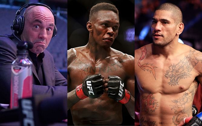 UFC 281: Joe Rogan praises Alex Pereira's archery skills; discusses his fight against Israel Adesanya