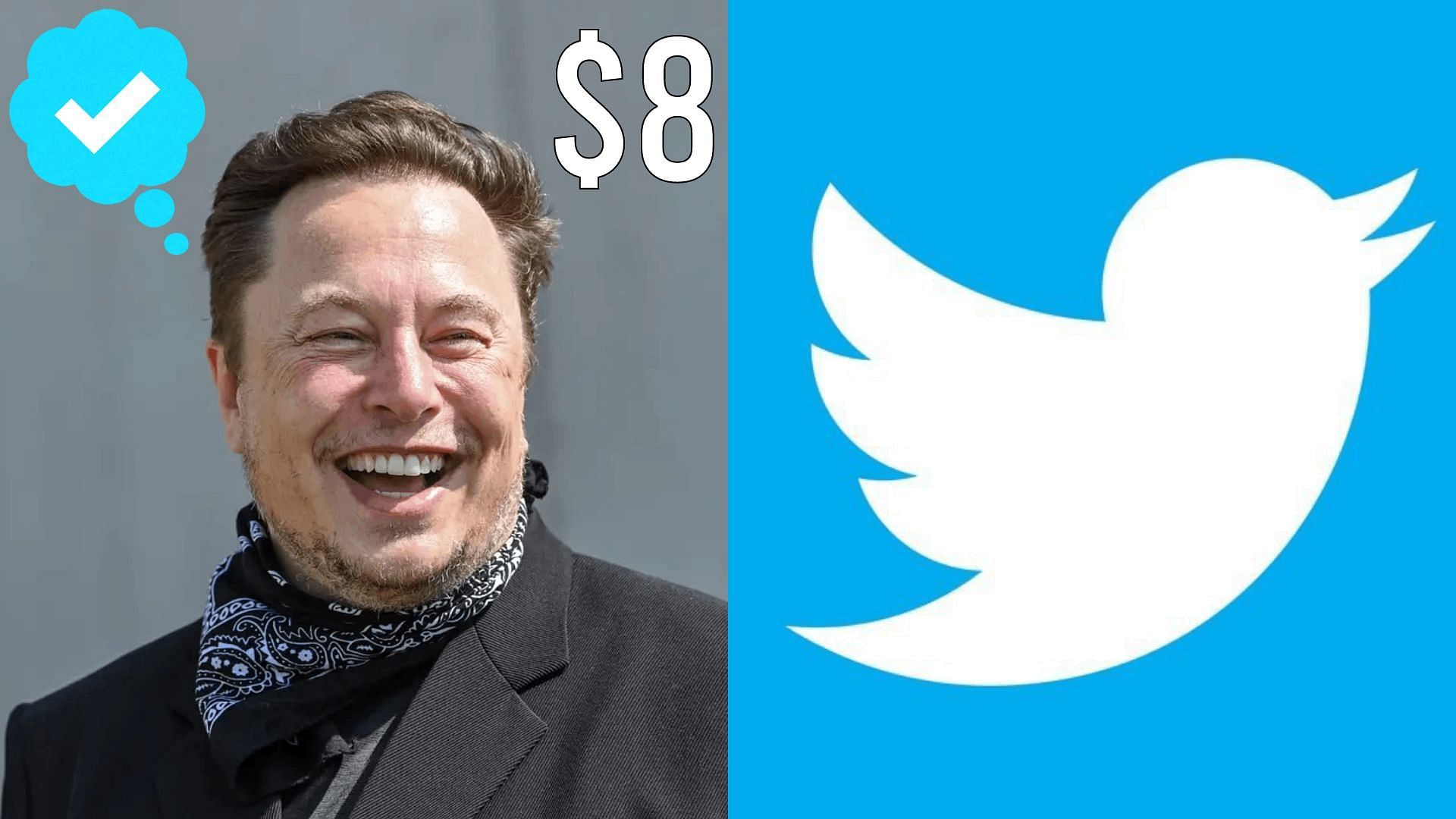 Blue Tick to cost $8 per month according to Elon (Image via Twitter)