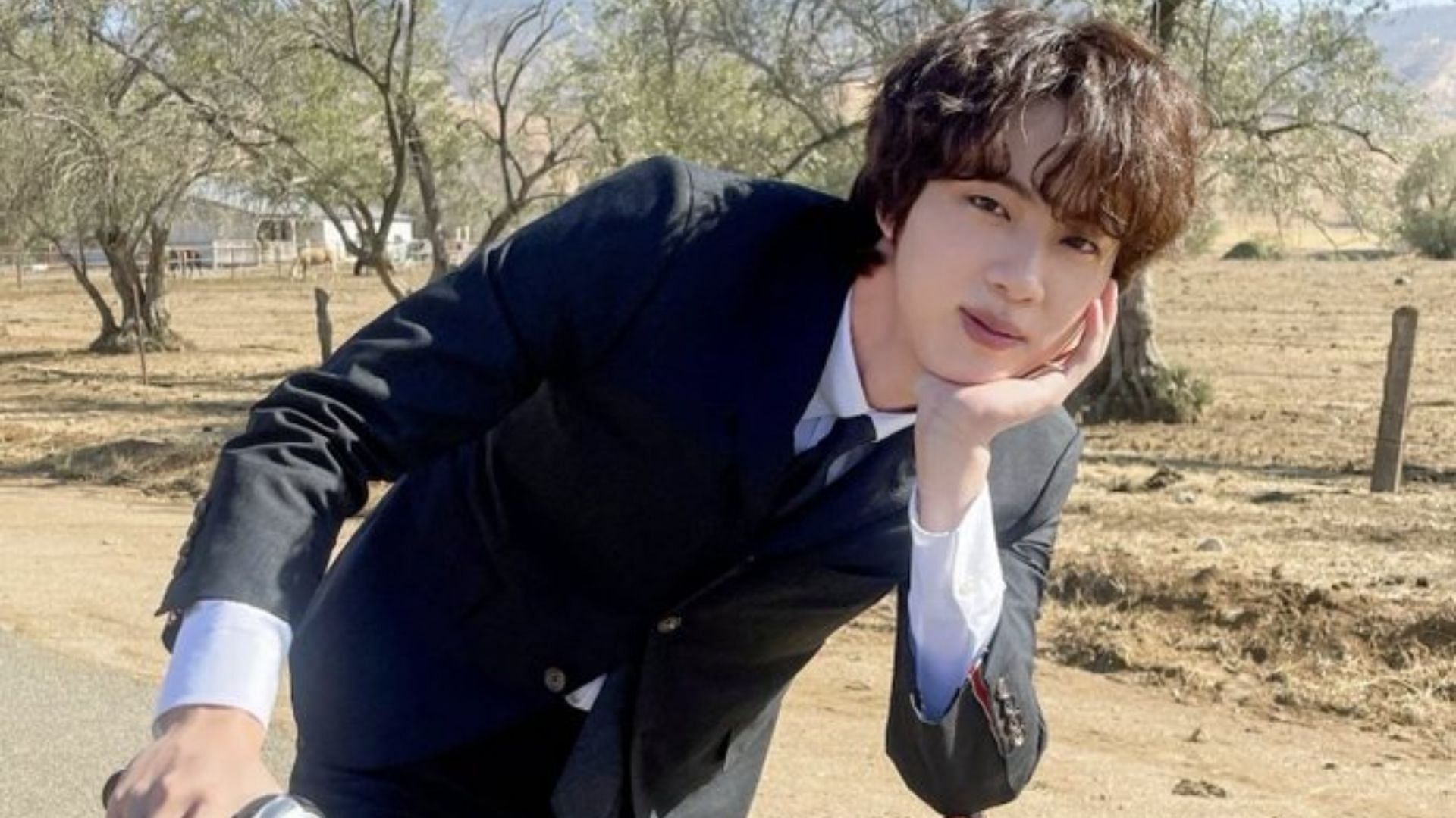 BTS Jin had a witty response to an ARMY