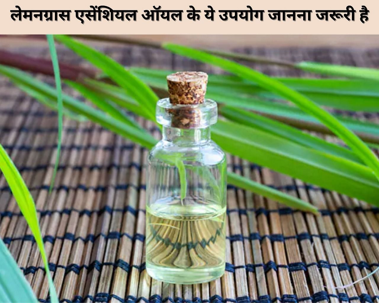 लेमनग्रास एसेंशियल ऑयल के ये 5 उपयोग जानना जरूरी है (फोटो - sportskeedaहिन्दी)