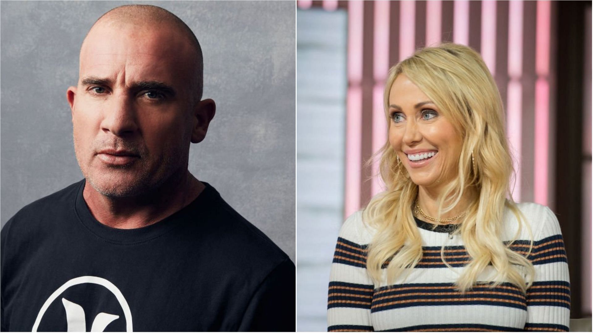 Dominic Purcell and Tish Cyrus were spotted together in a picture (Images via Robby Klein and Nathan Congleton/Getty Images)
