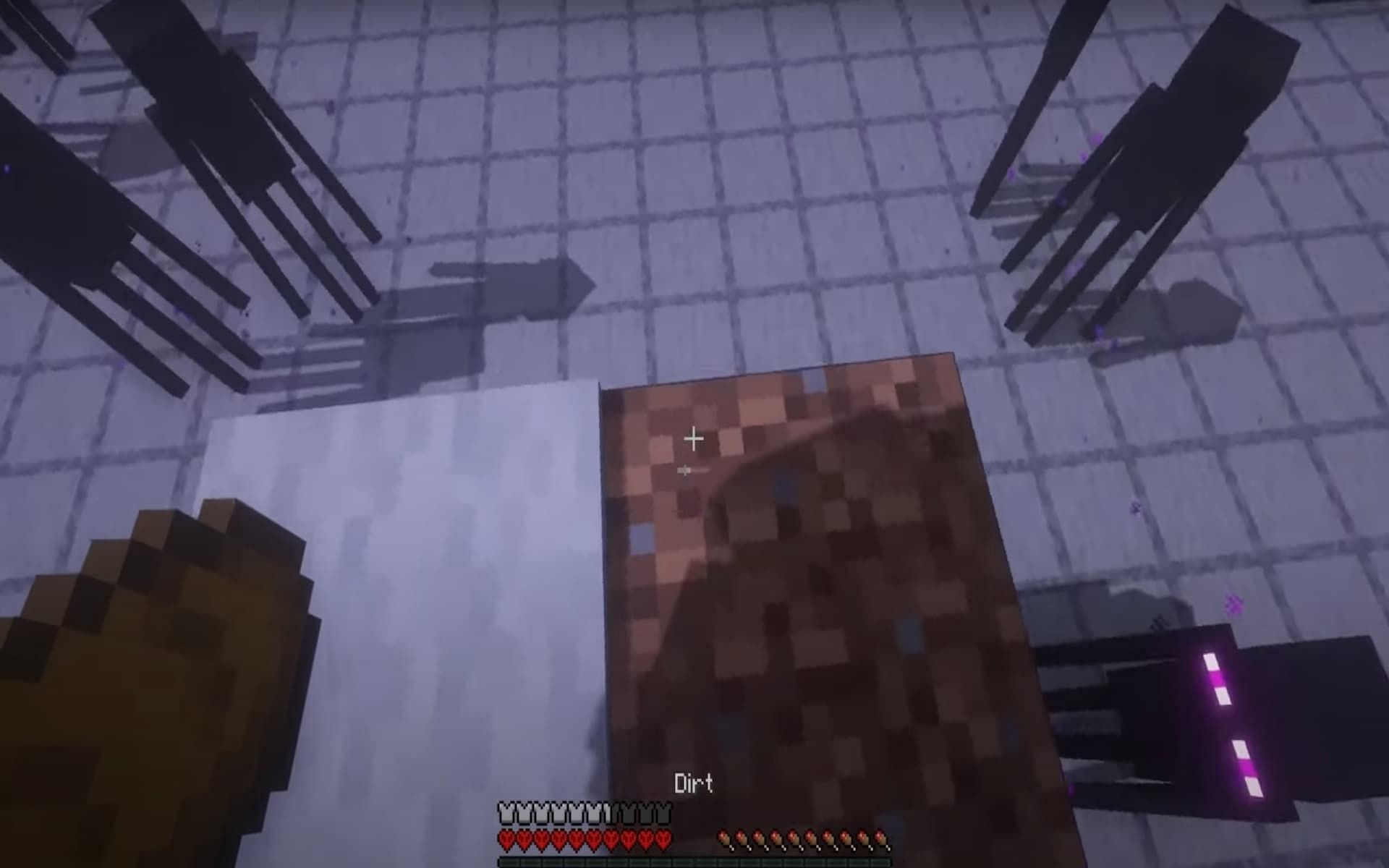 StBuild a cage of dirt blocks to contain an endermite (Image via YouTube/Moretingz)