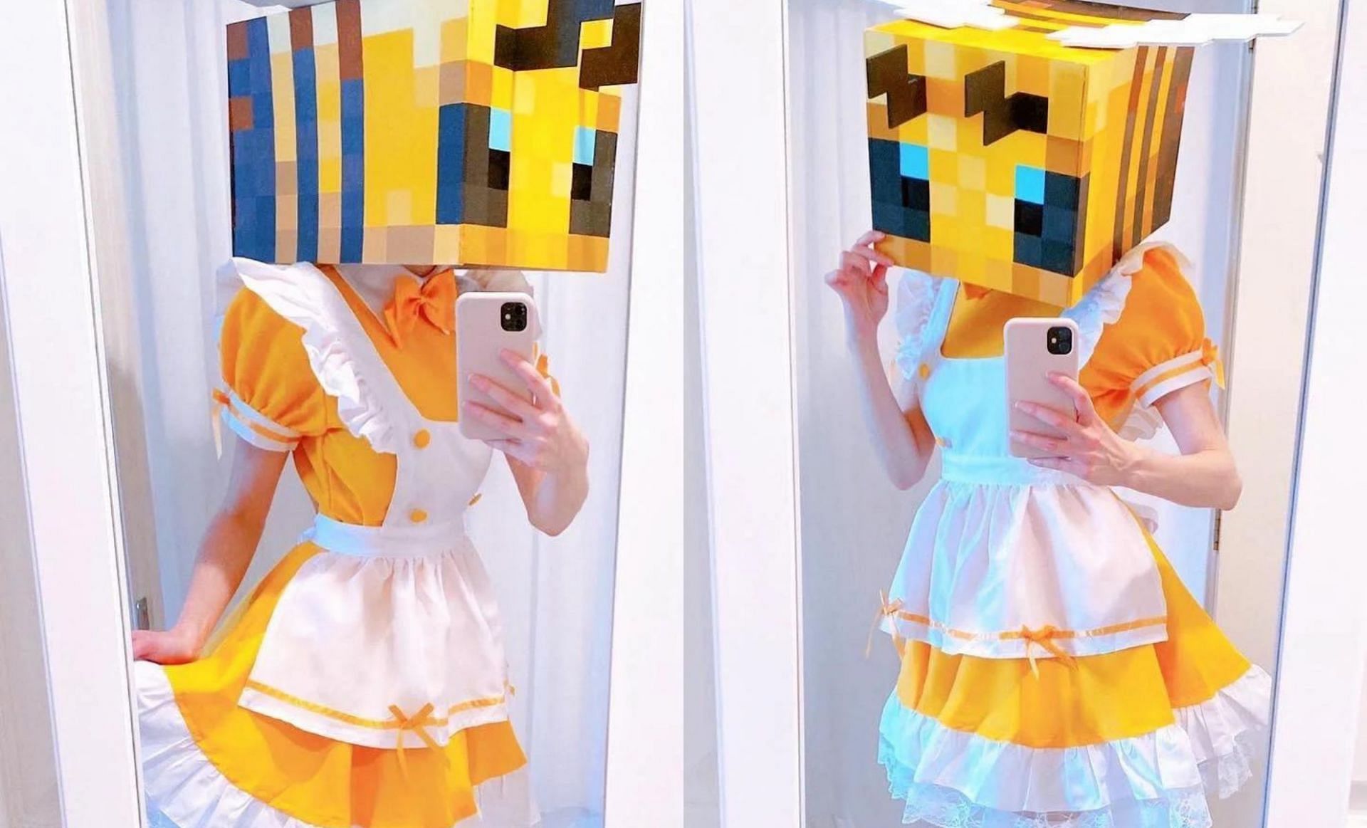 A stellar bee costume (Image via u/evvils on Reddit)