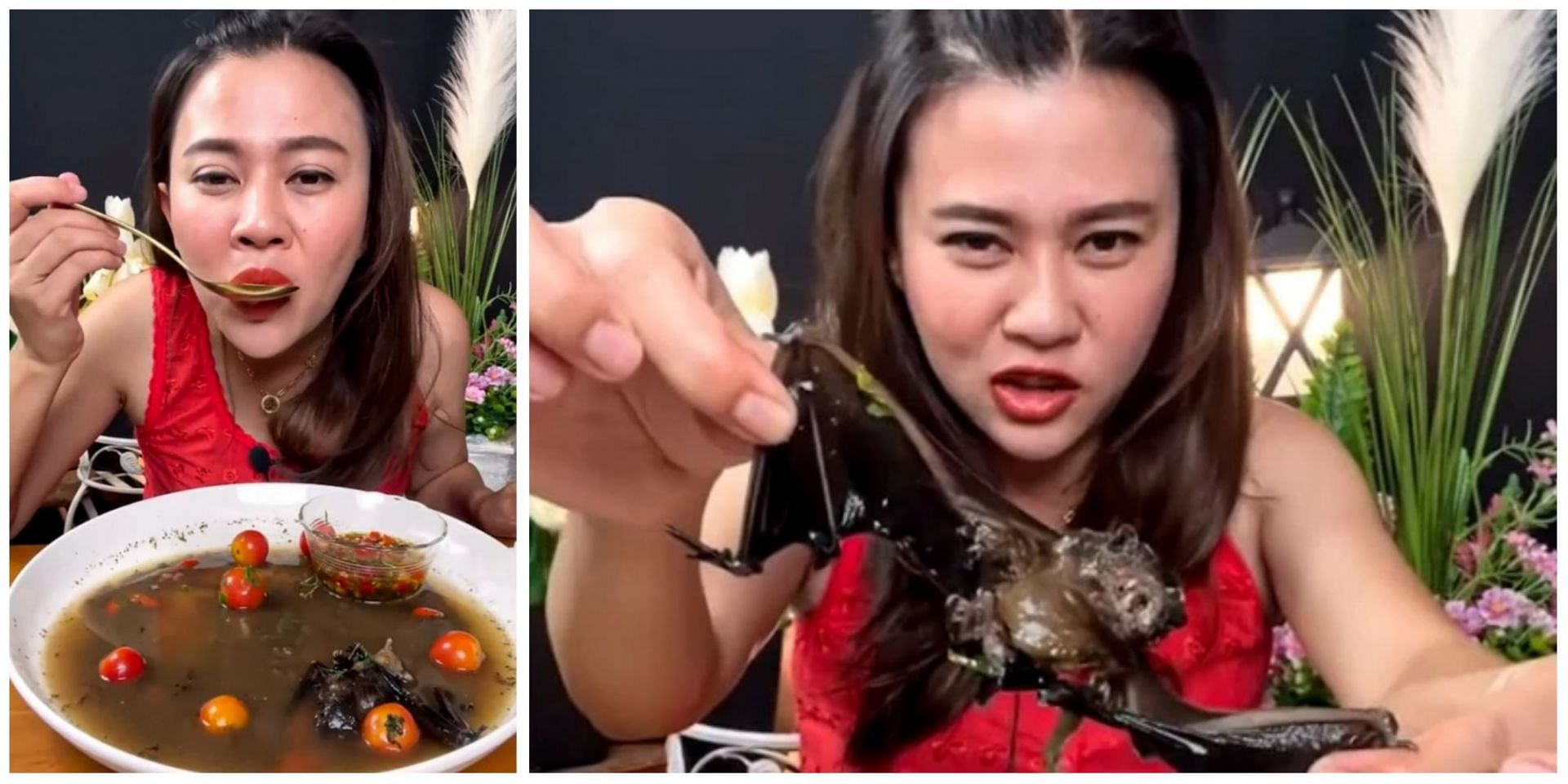 Thai blogger faces 5 years in prison after she uploads a video of herself eating a bat with some soup. (Image via YouTube)
