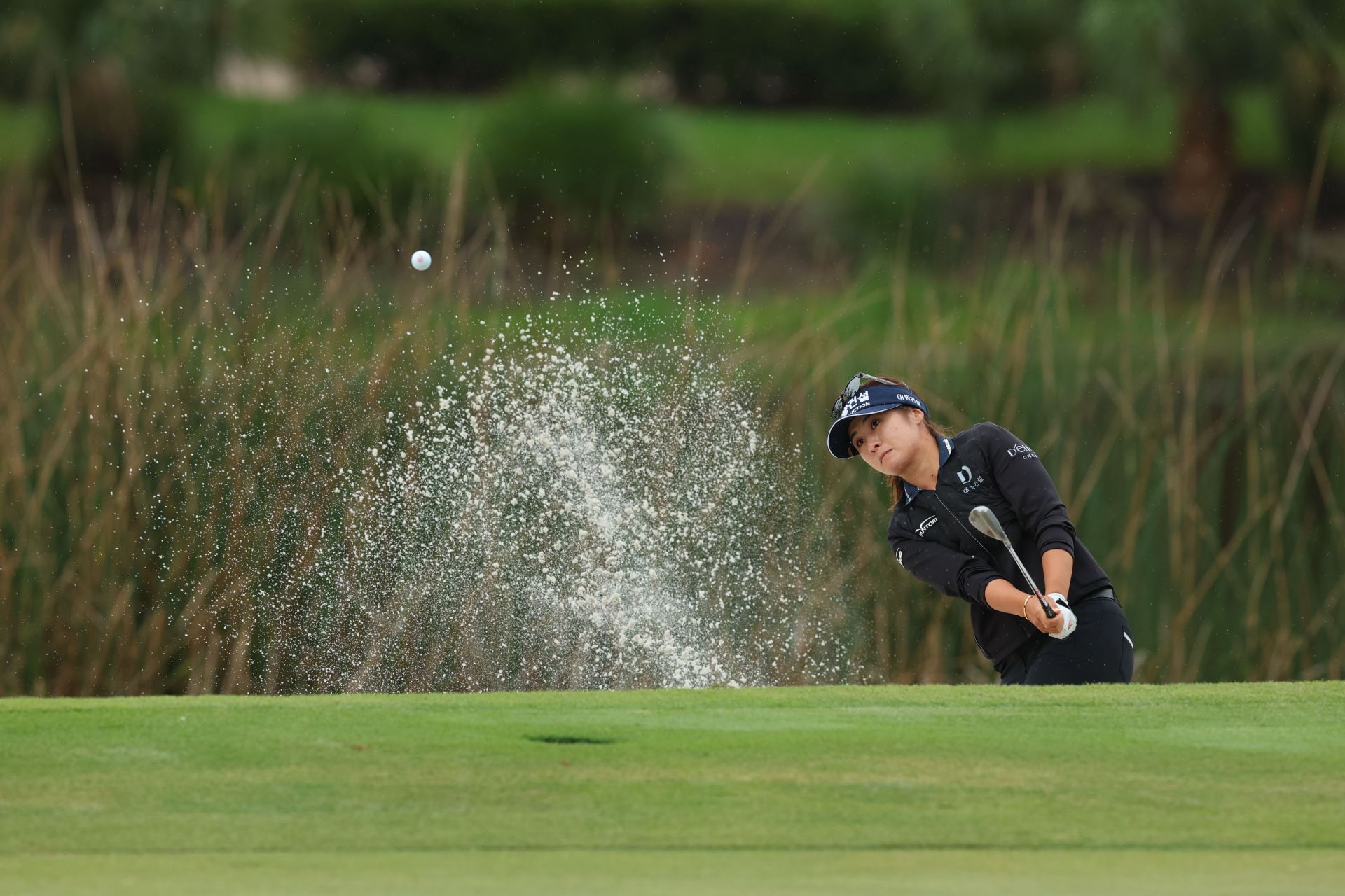 CME Group Tour Championship - Final Round (Image via Michael Reaves/Getty Images)