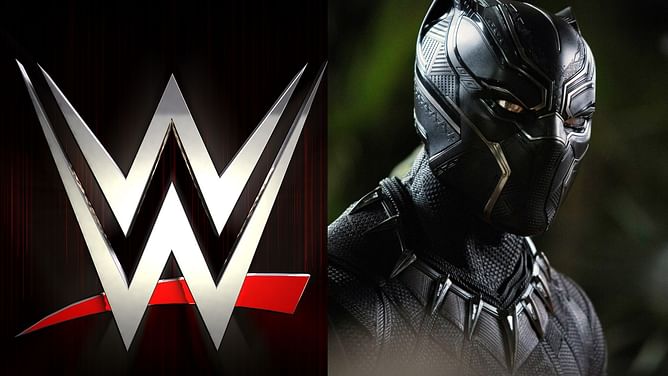 Which current WWE Superstar has petitioned to be in Marvel's Black Panther TV show?