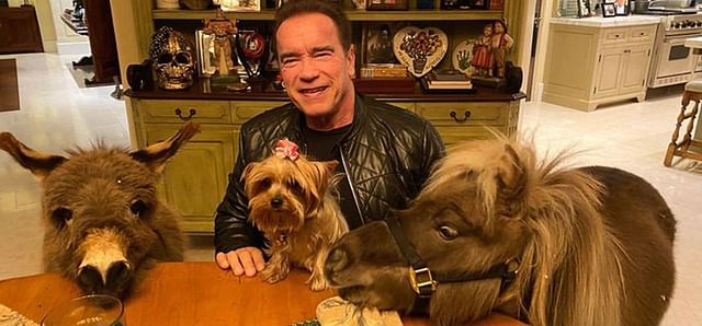 Arnold Schwarzenegger