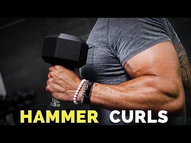 5 Best Bicep Curl Variations To Build Muscle 0407