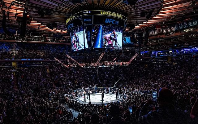 UFC 281 bonuses and salaries: How much did fighters competing on the ...