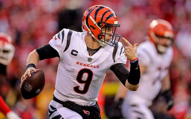 Best DFS Picks for Carolina Panthers vs. Cincinnati Bengals- November 6 | 2022 NFL Regular Season
