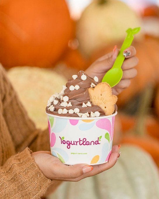 Yogurtland 2022 Holiday lineup Flavors, prices, deals, and other