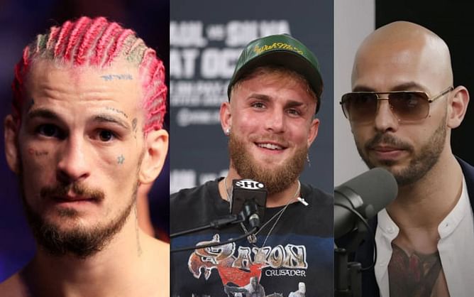 "Came out of left field"- Sean O'Malley reacts and gives his pick for the potential Andrew Tate vs Jake Paul fight