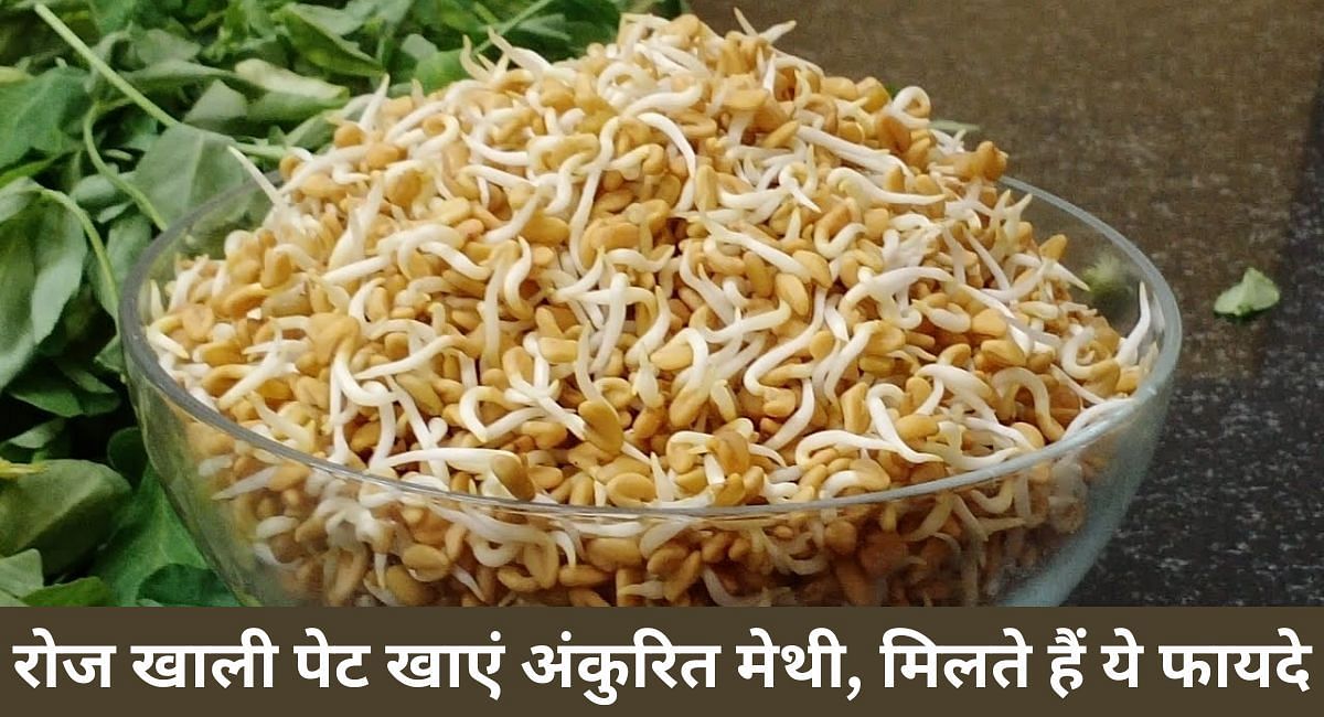 रोज खाली पेट खाएं अंकुरित मेथी, मिलते हैं ये फायदे(फोटो-Sportskeeda hindi)
