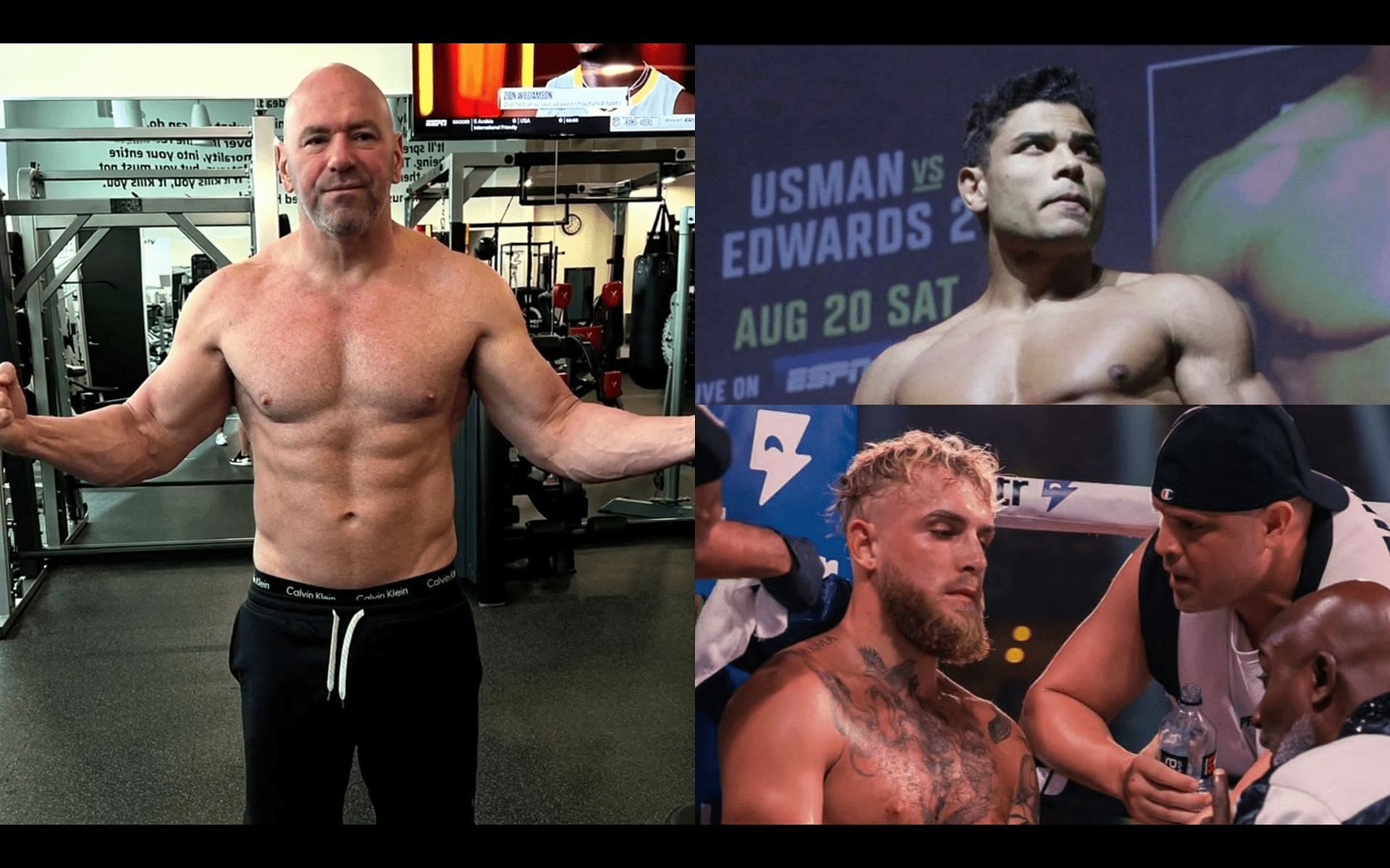 Dana White (left), Paulo Costa (top right), and Jake Paul (bottom right) [Image credits: @SandhuMMA on Twitter, @borrachinhaMMA on Twitter, and @jakepaul on Instagram]