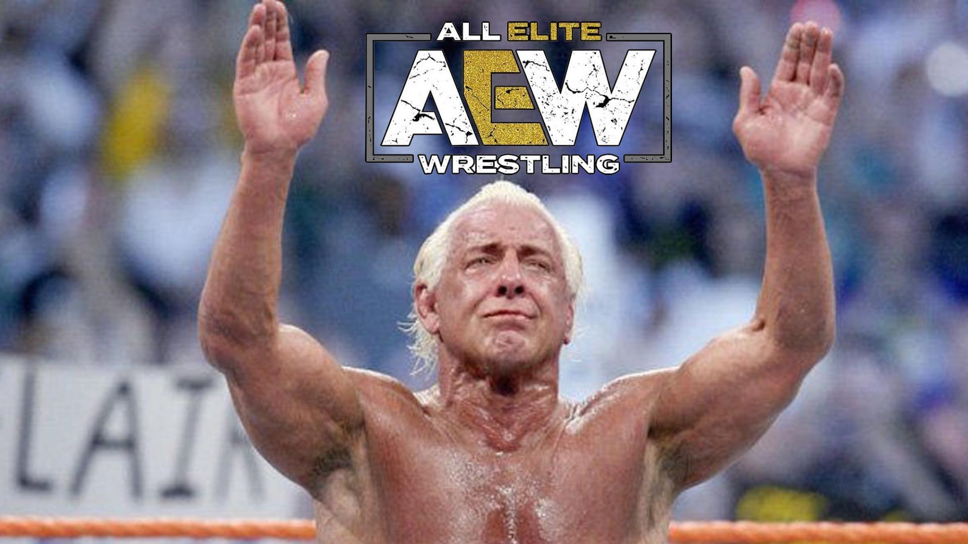 WWE legend Ric Flair and this AEW star shared the ring so many times.