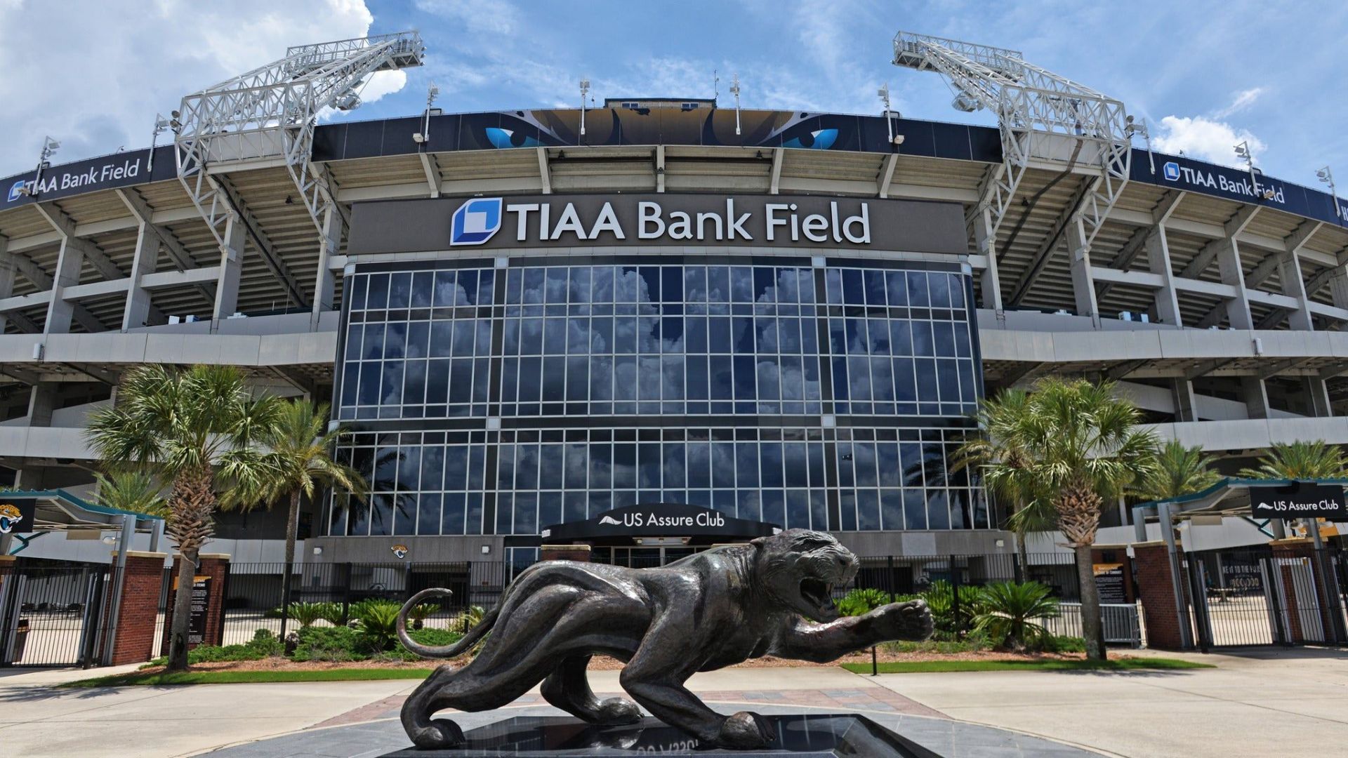 tiaa bank stadium pool｜TikTok Search