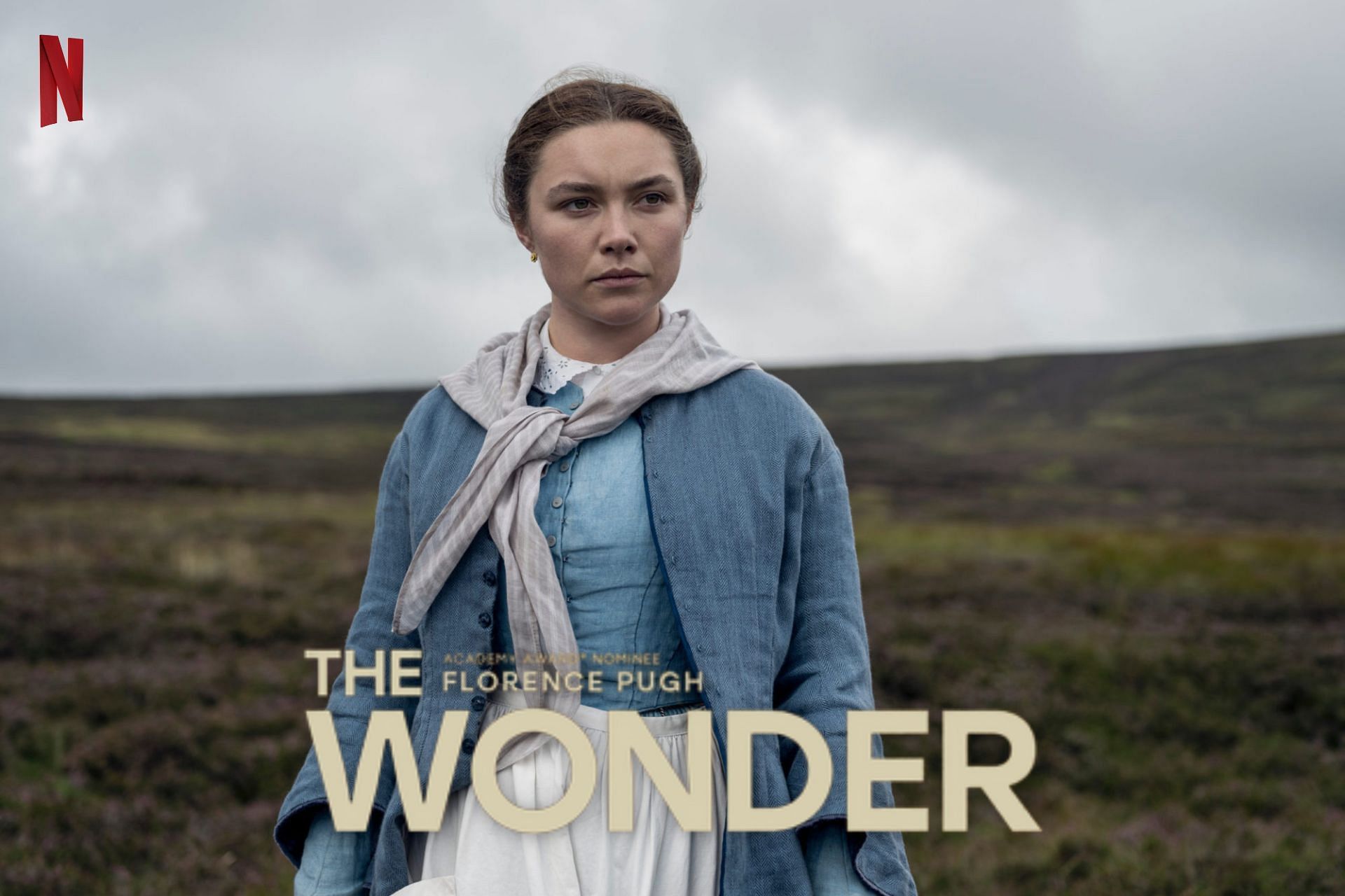 The Wonder