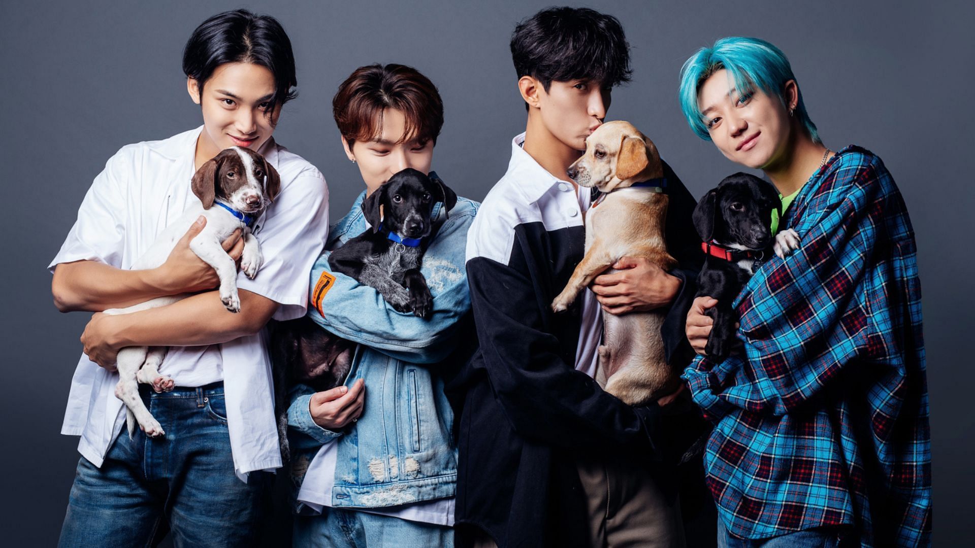 <b>7</b> <b>fan</b> favorite moments from SEVENTEEN&apos;s BuzzFeed puppy video.