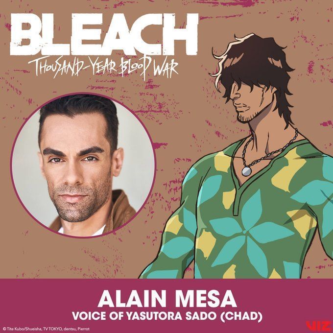 Bleach TYBW English dub info reveals recast of Sado "Chad" Yasutora