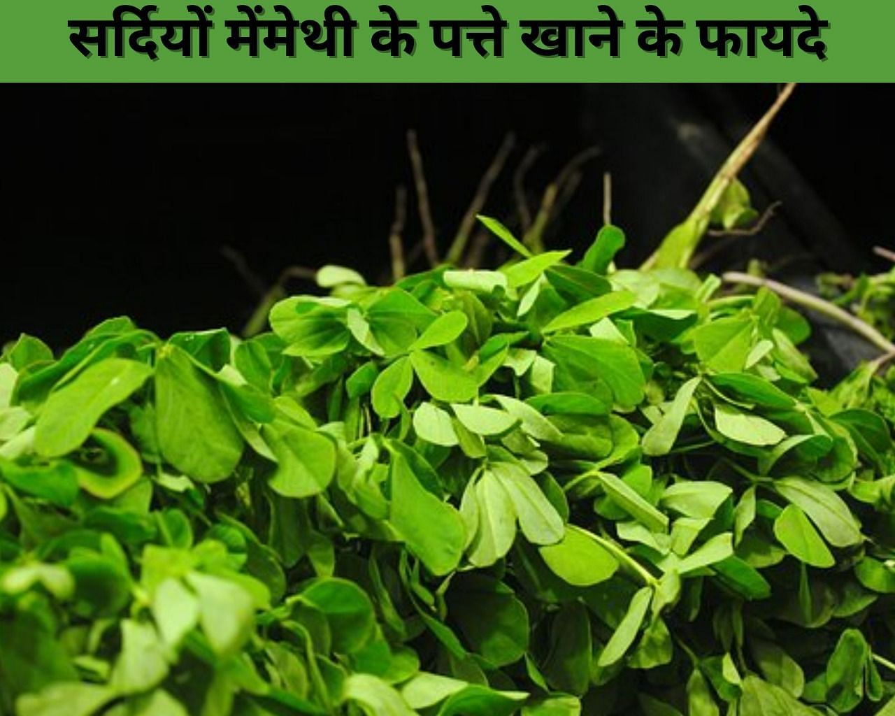 सर्दियों में मेथी के पत्ते खाने के फायदे (फोटो - sportskeeda hindi)