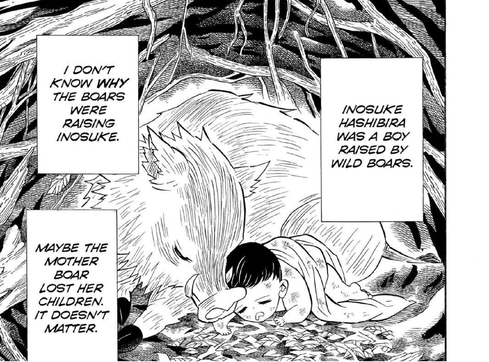 Demon Slayer: Why Inosuke wears a boar head, explained