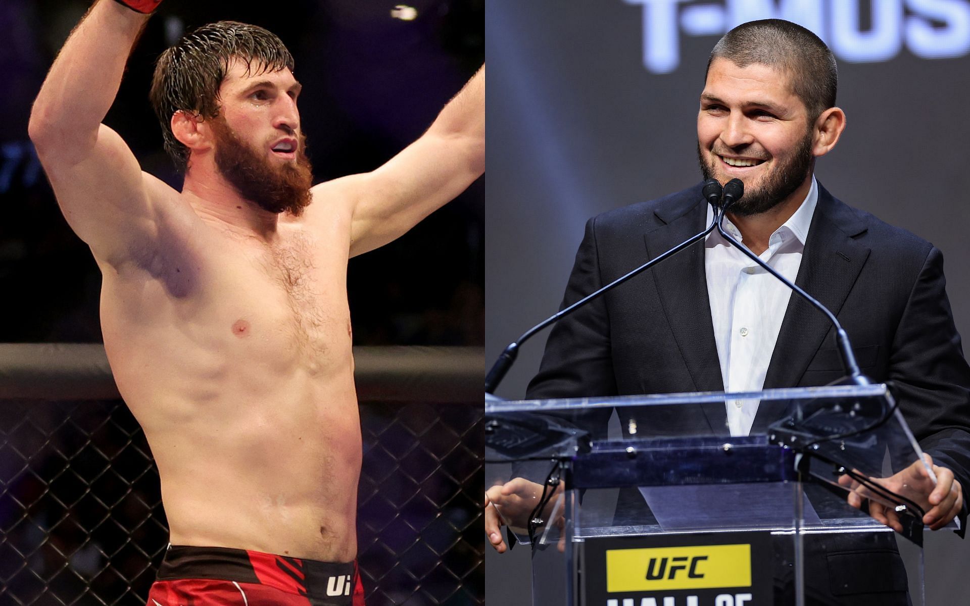 When Khabib Nurmagomedov hailed Magomed Ankalaev as a future UFC champion