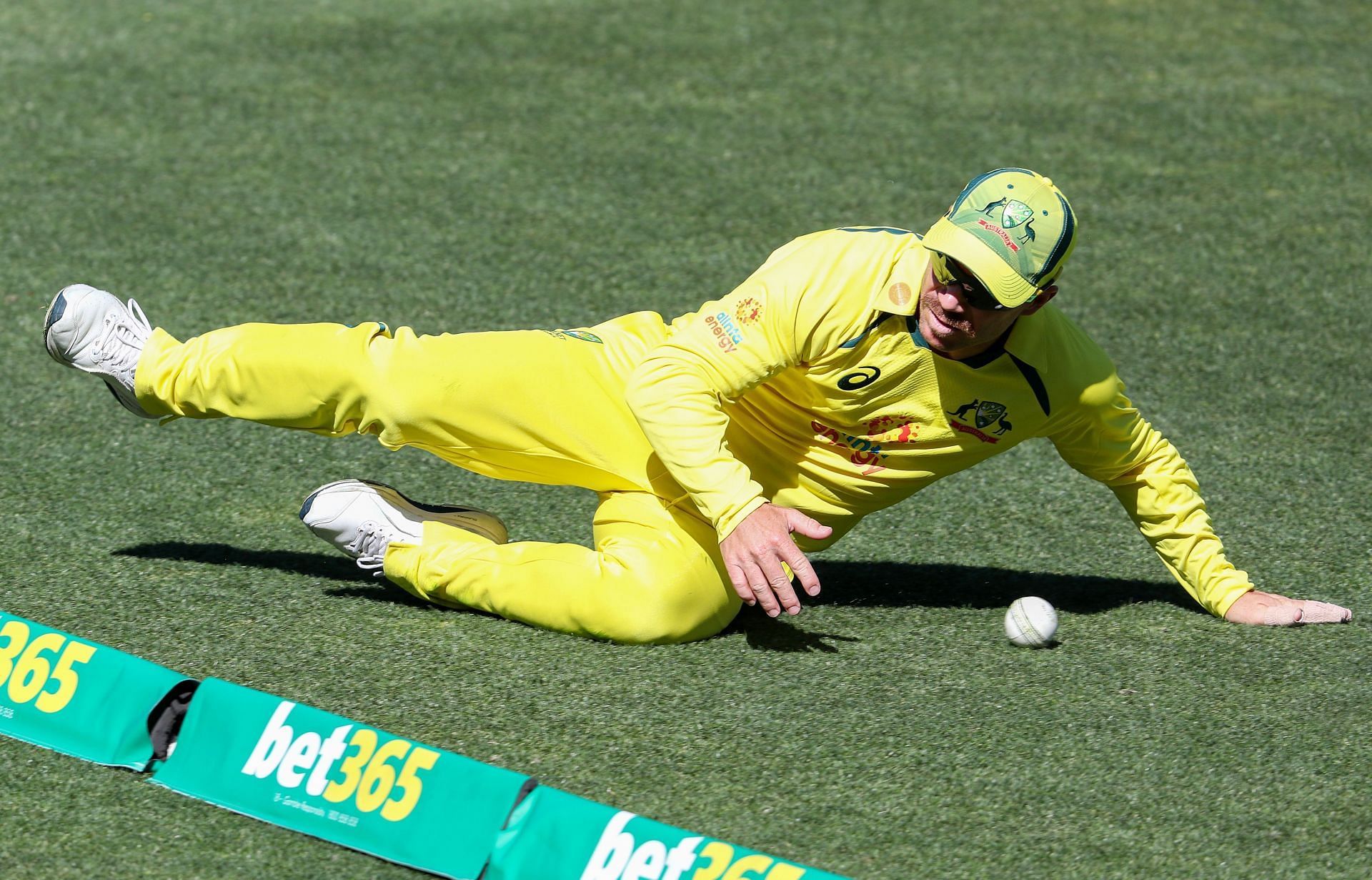 David Warner. (Image Credits: Getty)