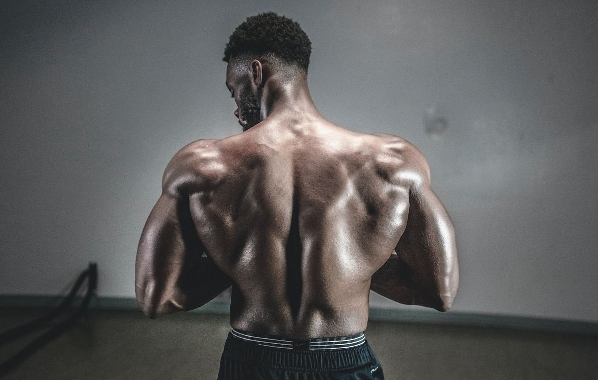 The trapezius muscle plays an important role in maintaining good posture (Image via Pexels @Pikx by Panther)