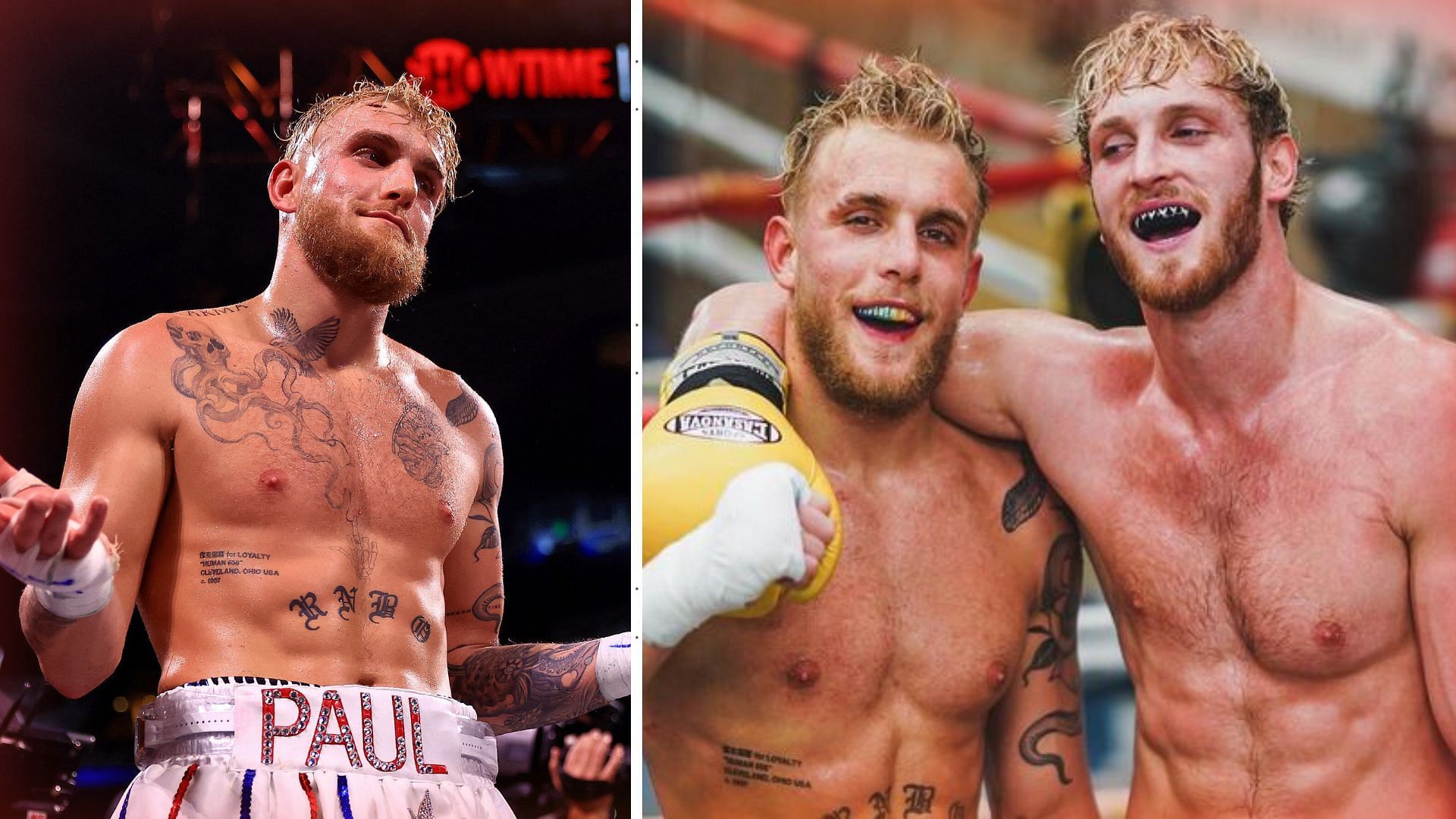 YouTuber Logan Paul may be sidelined, but might form an alliance with brother Jake Paul when he returns to WWE.