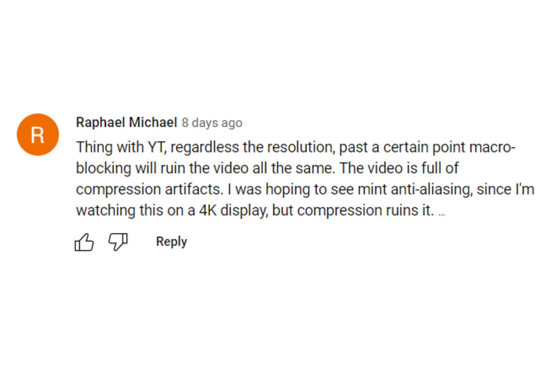Raphael Michael&rsquo;s comment on the video (Image via YouTube)