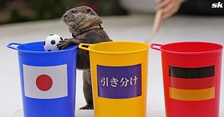 2022 FIFA World Cup: Otter ‘Taiyo’ predicted Japan’s shock comeback victory against Germany