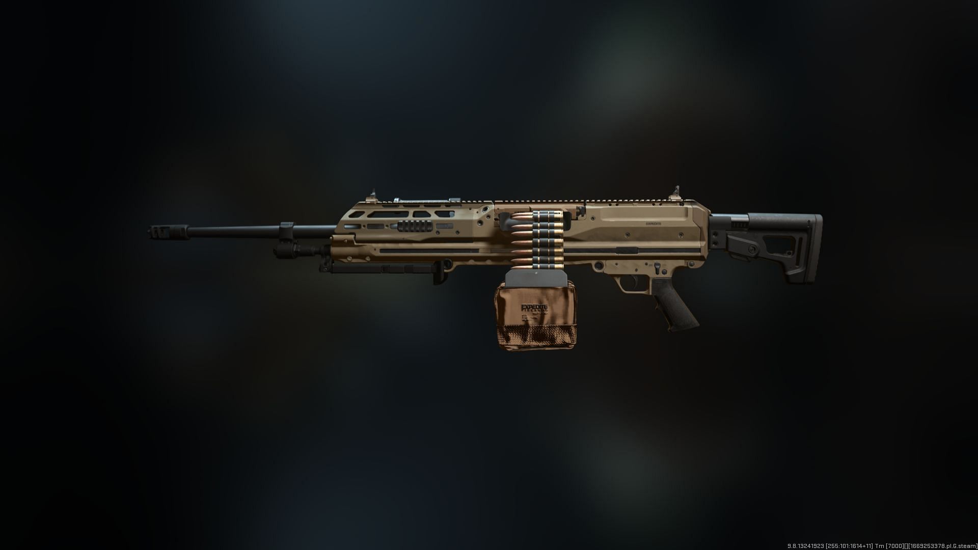 In-game look at the RAAL MG in MW2 (Image via Activision)
