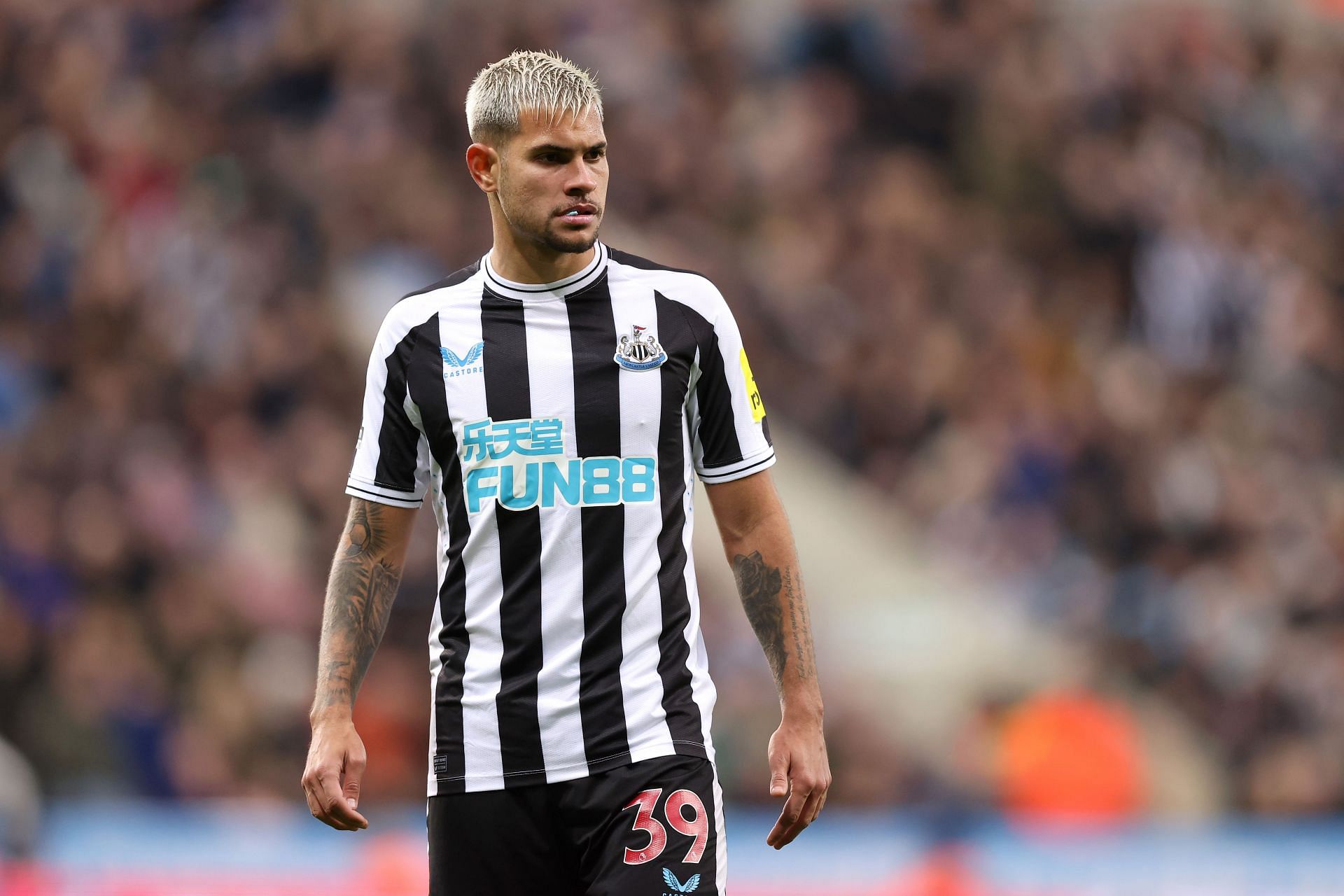 Newcastle United v Everton FC - Premier League