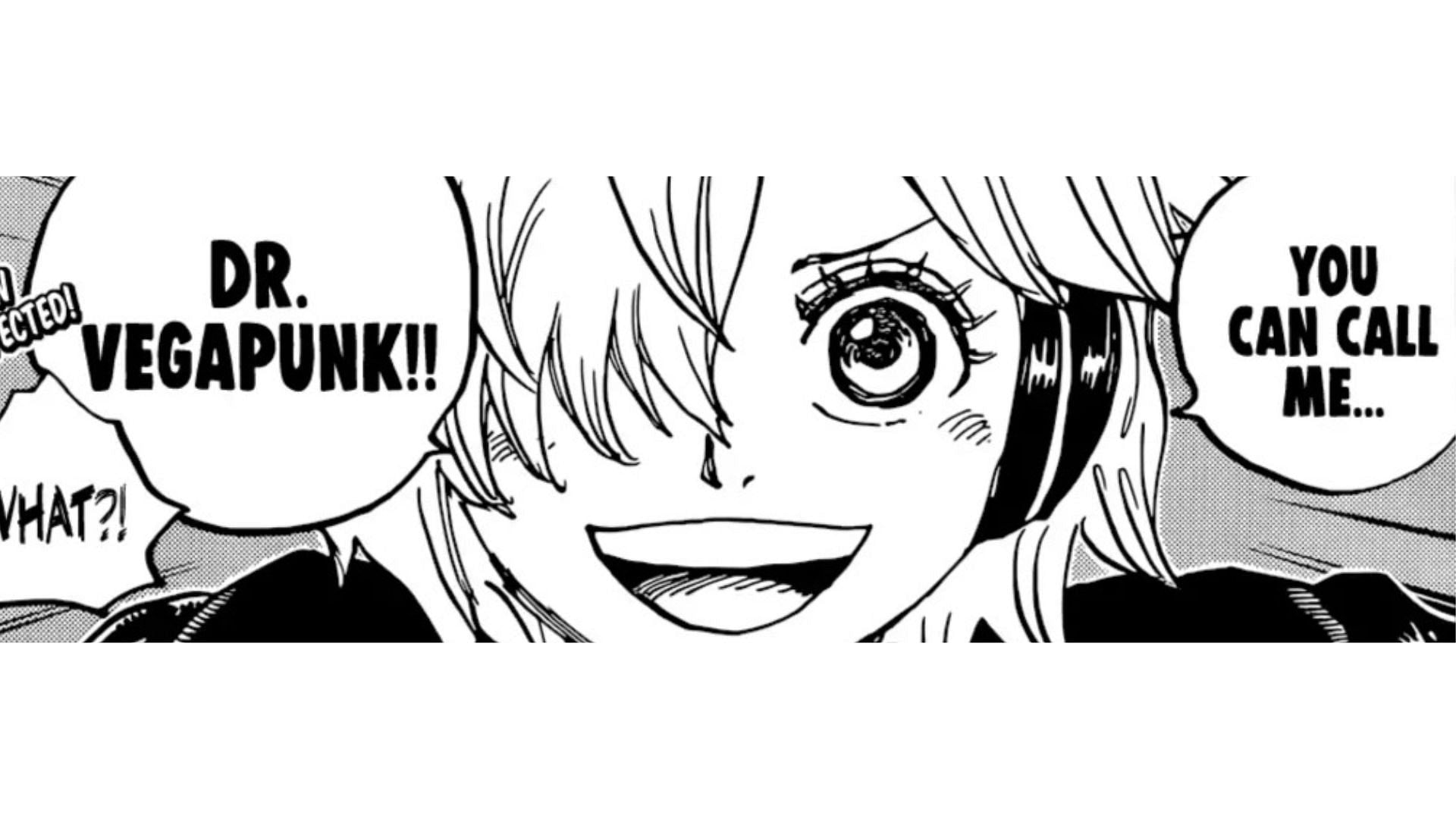 one piece 1065 spoiler｜TikTok Search