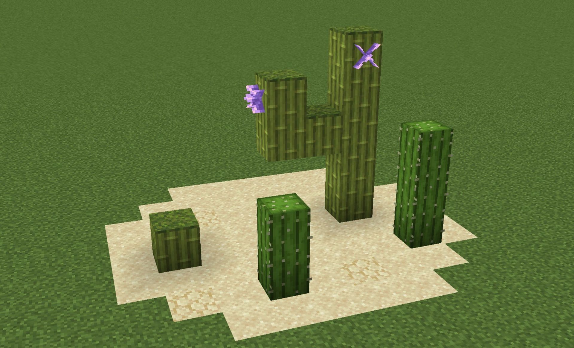 Bamboo blocks as a fake cactus (Image via u/ImportedParmesan on Reddit)
