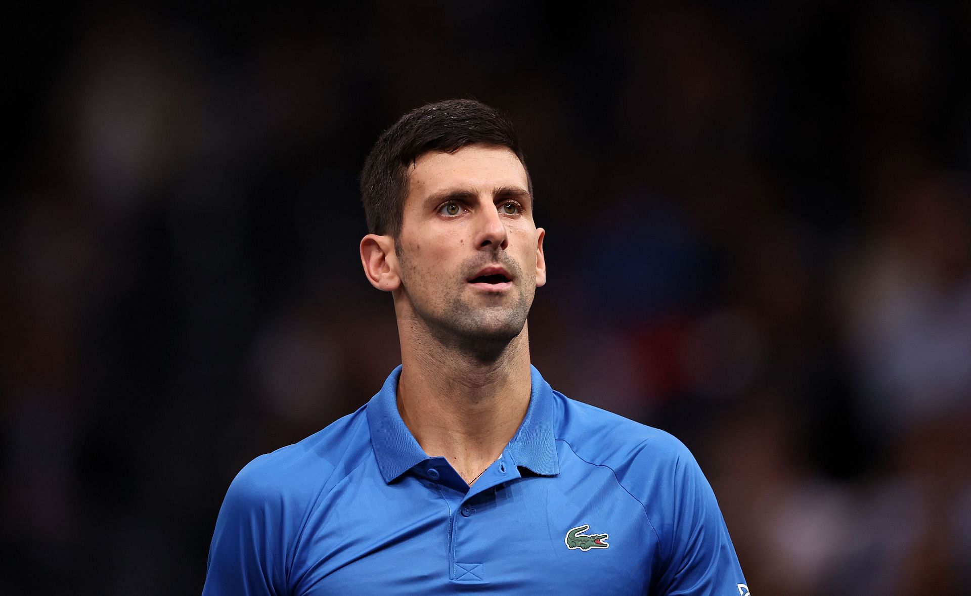 Novak Djokovic at the 2022 Paris Masters.