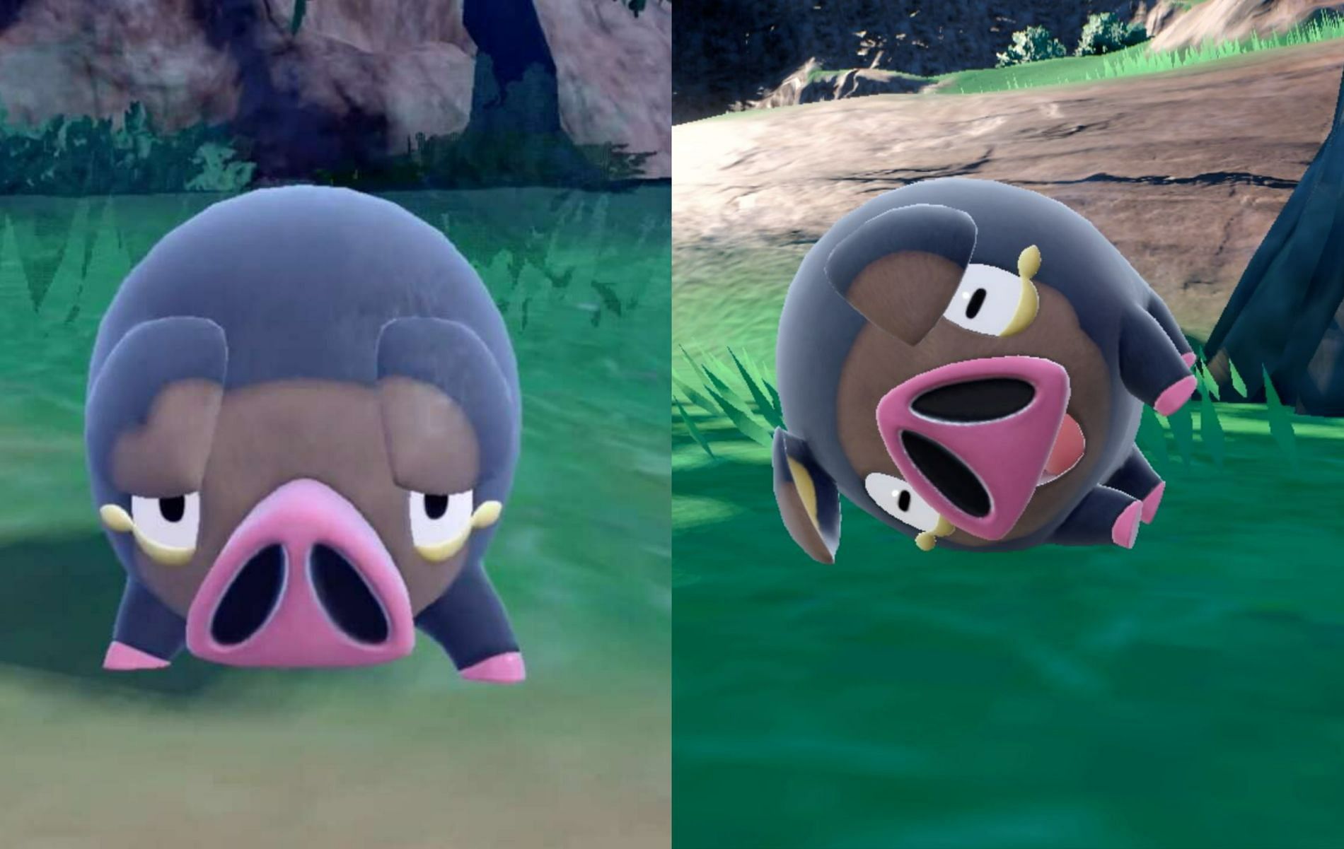 How to evolve Lechonk into Oinkologne in Pokemon Scarlet and Violet (Images via Pokemon Scarlet and Violet)