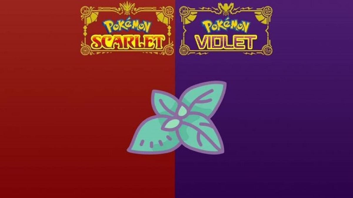 Pokemon Scarlet and Violet Where to find mints and how to use them