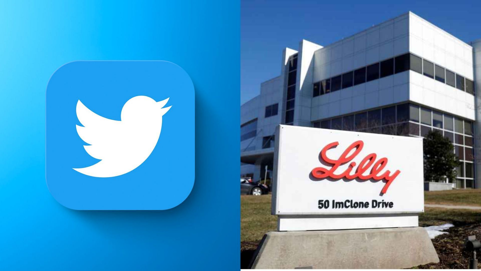 Ely Lilly recently bore the brunt of the impersonators gaining verified profile (Images via Twitter, Getty Images)