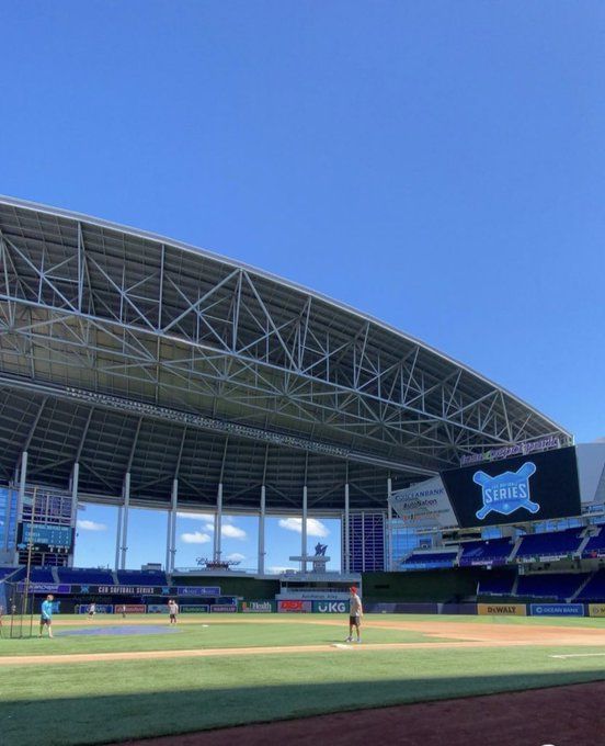 How many MLB stadiums have roofs?