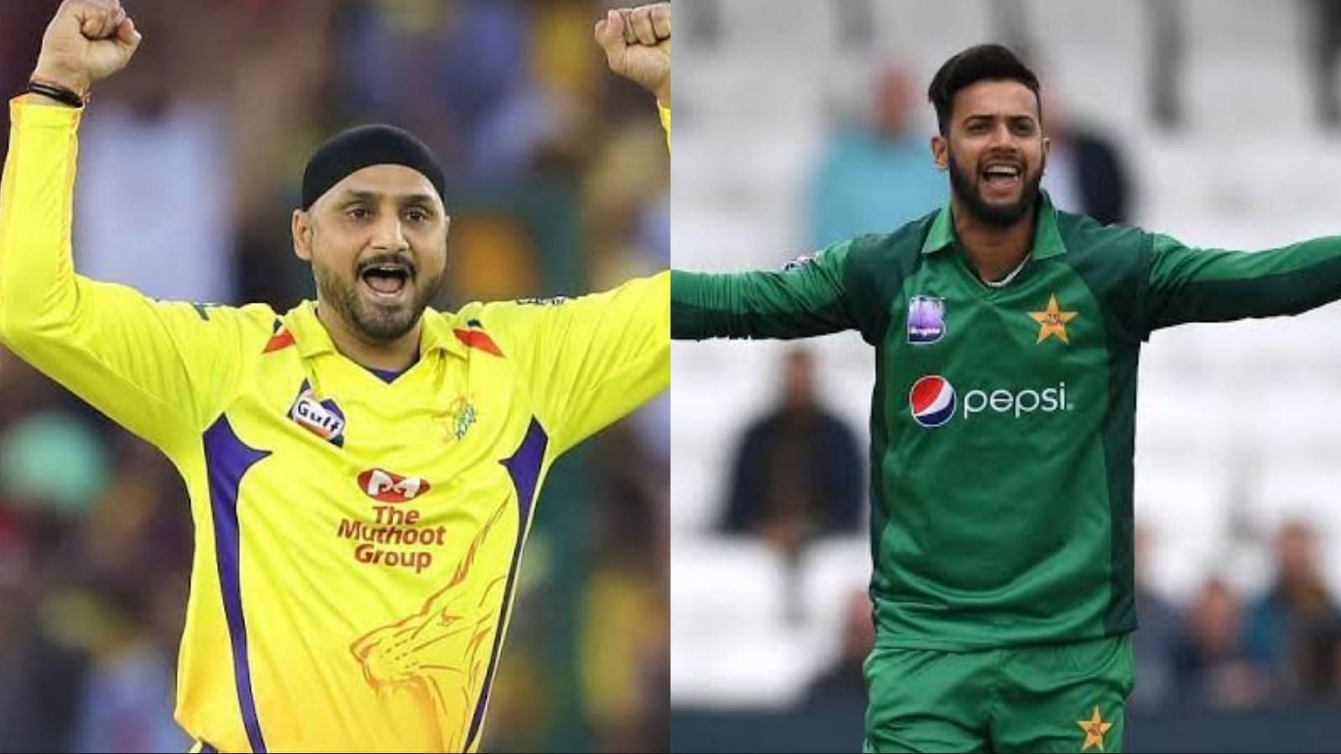 Harbhajan Singh and Imad Wasim will play for the same team 