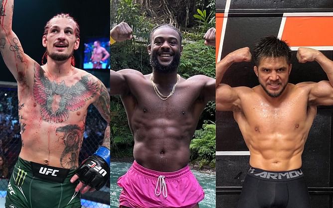 Sean O'Malley predicts potential Henry Cejudo vs. Aljamain Sterling title fight