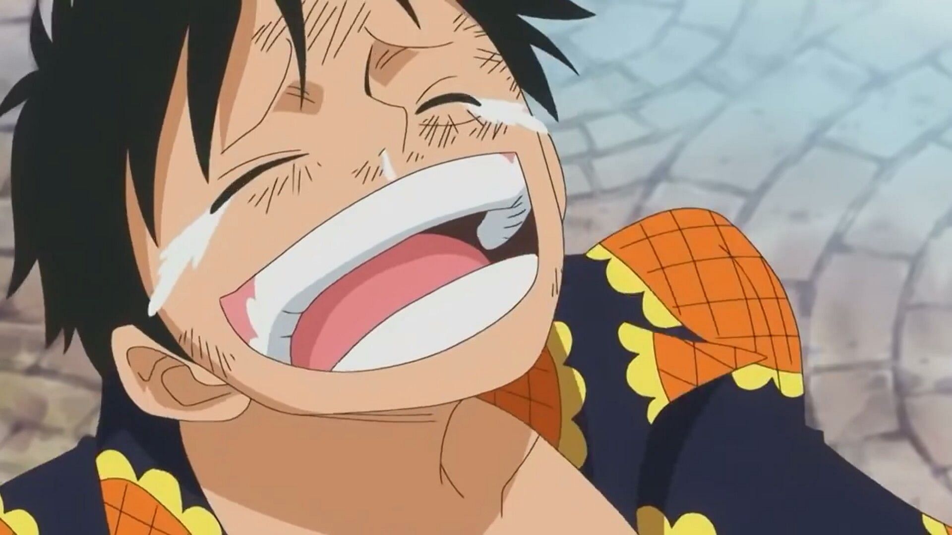 Kokoro seen in One Piece anime by Eiichirō Oda