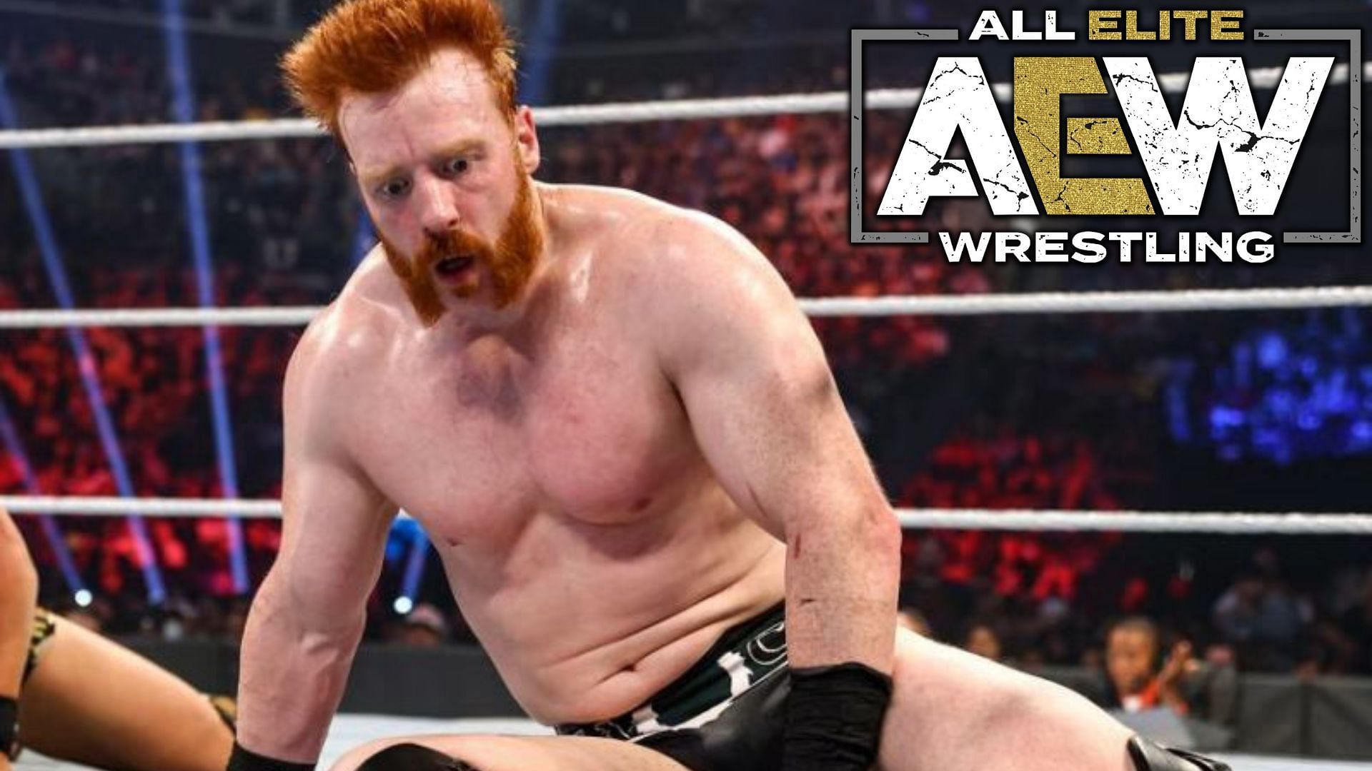 Sheamus and this former WWE Superstar had a well-received run togehter.