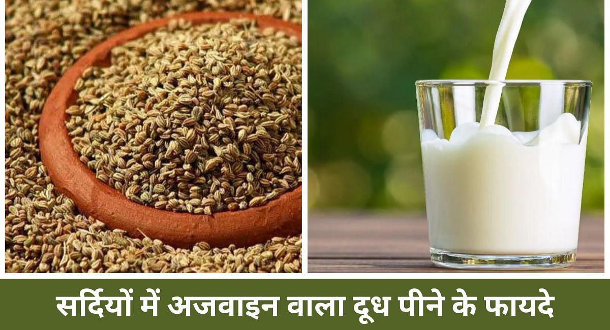 सर्दियों में अजवाइन वाला दूध पीने के फायदे(फोटो-Sportskeeda hindi)